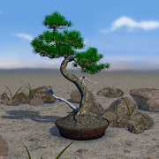 Download Bonsai 3D Live Wallpaper 4.4 and up Apk for android
