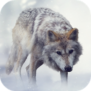 Download Wolf Sounds 2.0 Apk for android