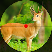 Download 4x4 Safari Hunting Games 2021 1.0 Apk for android