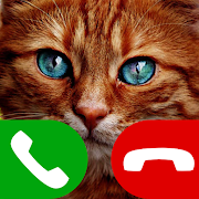 Download fake call cat game 6.0 Apk for android