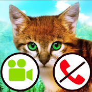 Download fake call video cat game 7.0 Apk for android