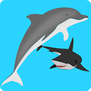Download Dolphin Adventure 1.04.19 Apk for android