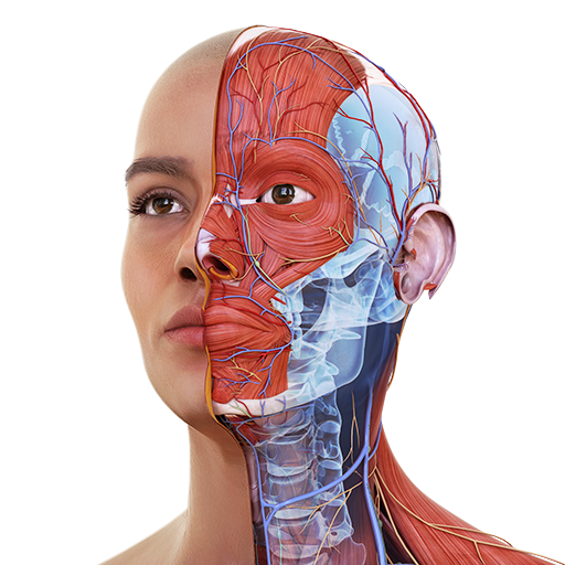 Complete Anatomy 2022 8.6.0 Apk for android