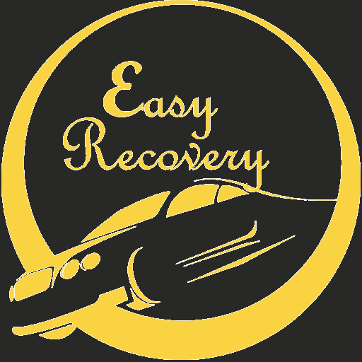Download Easy Recovery 5.5 - 02/06/2022 Apk for android