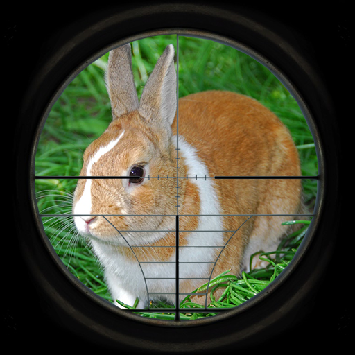 Download Rabbit Hunting 3D 2.0 Apk for android