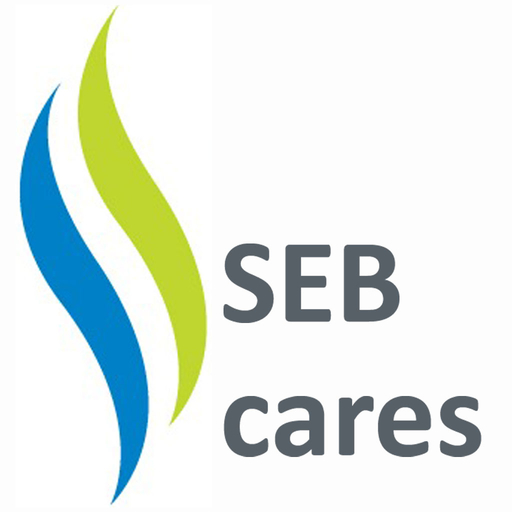 Download SEB cares 19.7.0 Apk for android