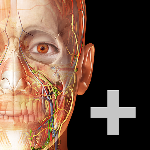 Download Atlas d'anatomie humaine 2023＋ 2.01.020 Apk for android