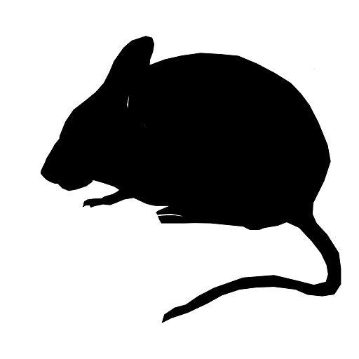 Mouse Sound 1.7.1 Apk for android
