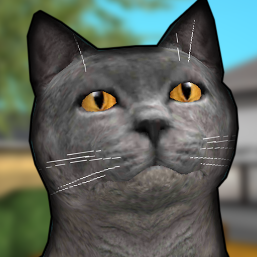 Download Cat Shelter Simulator 3D 6.2 Apk for android