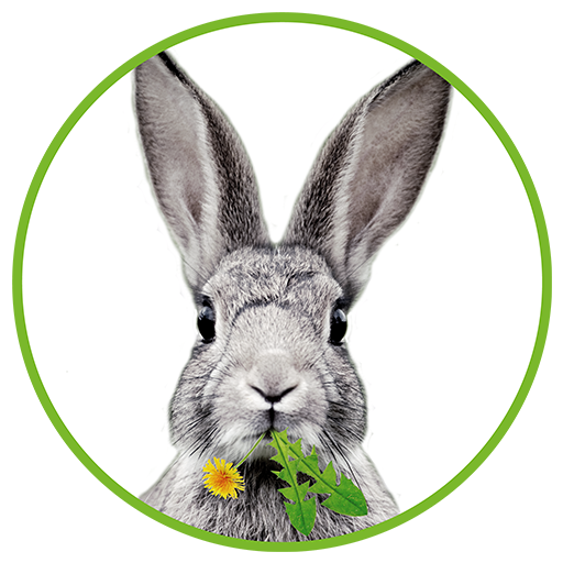 Download Dein Kaninchen Kräuterguide v3.2.4 Apk for android