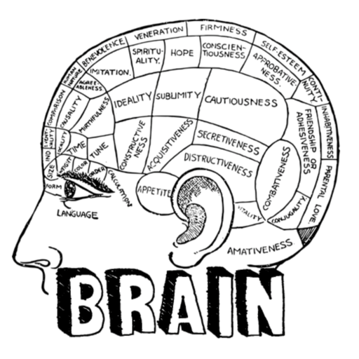 BrainCorporation free Android apps apk download - designkug.com