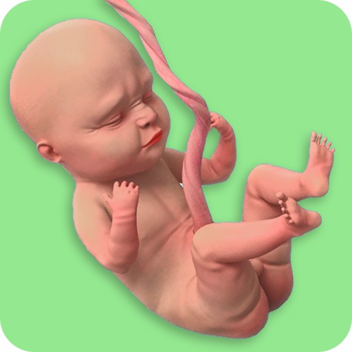 Download Mom Pregnancy Games: Mom Care 0.4 Apk for android