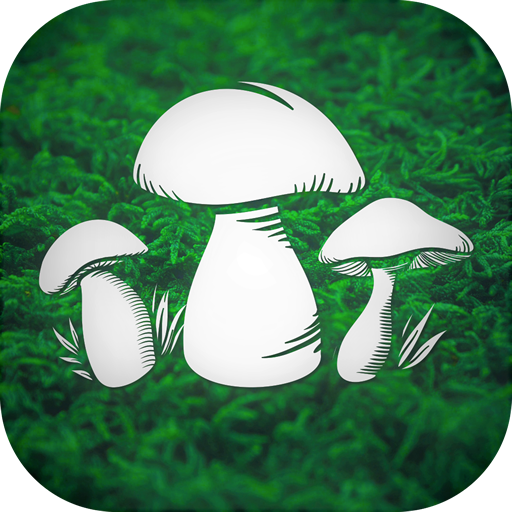 Download Real Mushroom Hunting Simulato 1.9 Apk for android