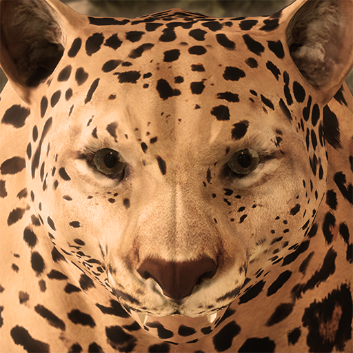 Download Ultimate Leopard Simulator 1.3 Apk for android