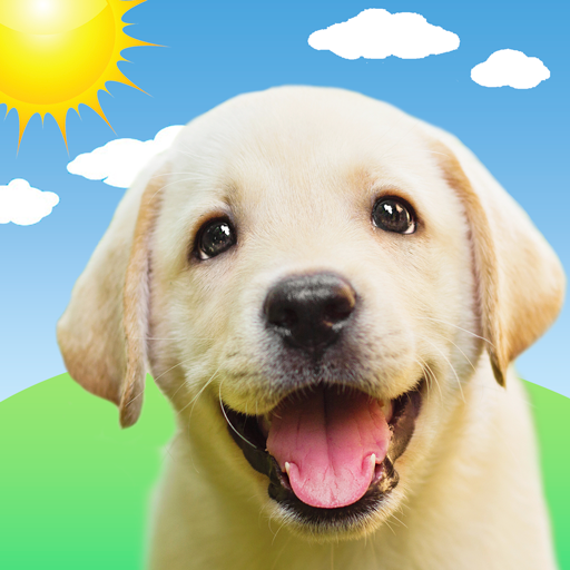 weather puppy 6.0.2 apk